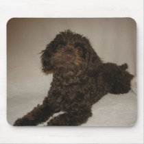 doogy mousepad mousepads
