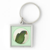 Dooley Key Chains