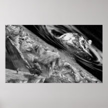 Doomsday Earth Posters