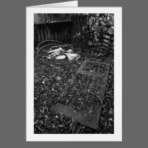 Door in the Floor cards