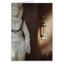 Door To Enlightenment cards by DevaRay Door To Enlightenment cards