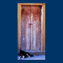 Door with dog  canvas posters