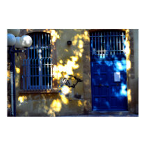 Door with secret sign, Provence, France posters