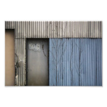 Doors Photograph