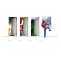Doors posters