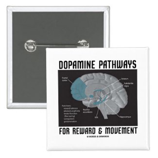 Dopamine Pathways For Reward & Movement Pins