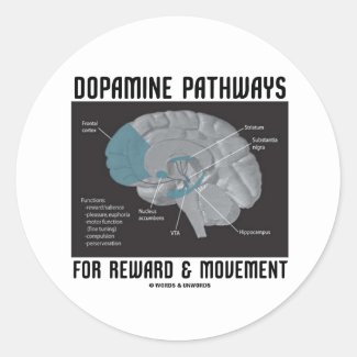 Dopamine Pathways For Reward & Movement Round Stickers