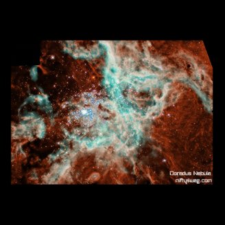 Doradus Nebula Posters