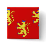 Dordogne, France flag Pin