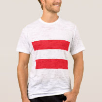 Dordrecht, Netherlands t-shirts