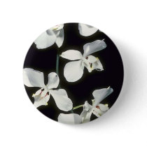 Doris P. Benson's (Phalaenopsis) flowers Button