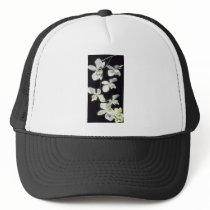 Doris P. Benson's (Phalaenopsis) flowers Mesh Hats