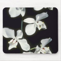 Doris P. Benson's (Phalaenopsis) flowers Mousepad