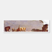 Dormant Foci By Potter Paulus (Best Quality) Bumper Stickers