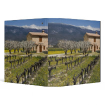 Dormant vineyard, fruit blossoms, stone house, vinyl binders
