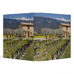 Dormant vineyard, fruit blossoms, stone house, binders