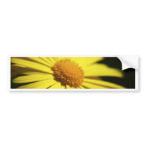 Doronicum bumper stickers