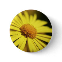 Doronicum buttons