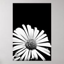Doronicum flower print (black and white) posters
