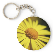 Doronicum keychains