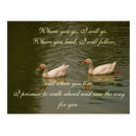 Dos cisnes en un lago - votos de boda tarjetas postales