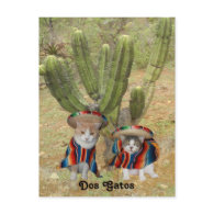 Dos Gatos Postcards