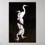 Dos grandes Egrets que reflejan en el día Poster