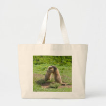 dos marmotas jovenes bolsa