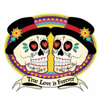 Dos Novios (2 Grooms) Cake Topper! Photo Cut Out
