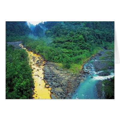 Dos Rivers # 2 Card by Merritt_B