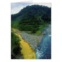 Dos Rivers # 4 cards by Merritt_B Dos Rivers # 4 cards