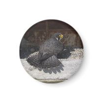 Dot.ca  Magnet magnets