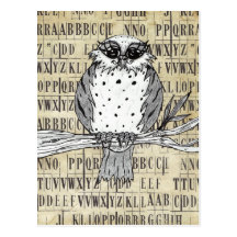 Dotti the Owl 25 Postcard