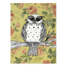 Dotti the Owl 27 Post Cards