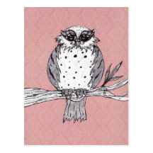 Dotti the Owl 28 Postcard