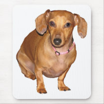 DottieDoxie mousepads