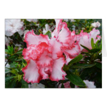 Double Azaleas Blank Photography Note Card