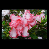 Double Azaleas Flexible Magnet magnets