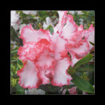 Double Azaleas Magnet
