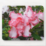 Double Azaleas Mousepad