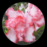 Double Azaleas Sticker