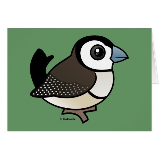 Double-barred Finch Cards