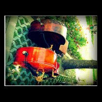 Double Bass Couple postcards