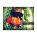 Double Bass Couple postcards