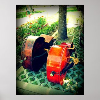 Double Bass Couple print