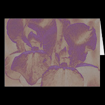 Double Beauty cards