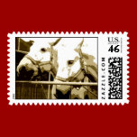 Double Beauty stamps