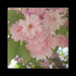 Double Blossoming Cherry II Magnet