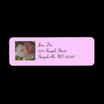 Double Blossoming Cherry Return Address Label