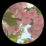 Double Blossoming Cherry Tree III Sticker